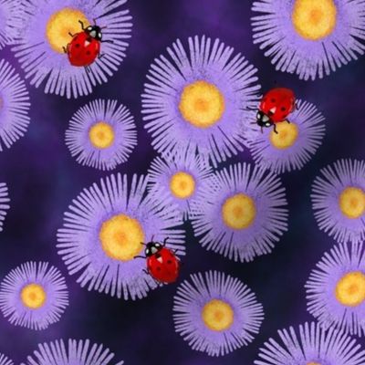 Aster Flowers and Ladybugs on Deep Purple