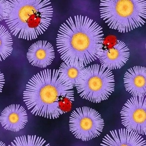 Aster Flowers and Ladybugs on Deep Purple