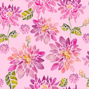 XL Pink Watercolor Dahlias