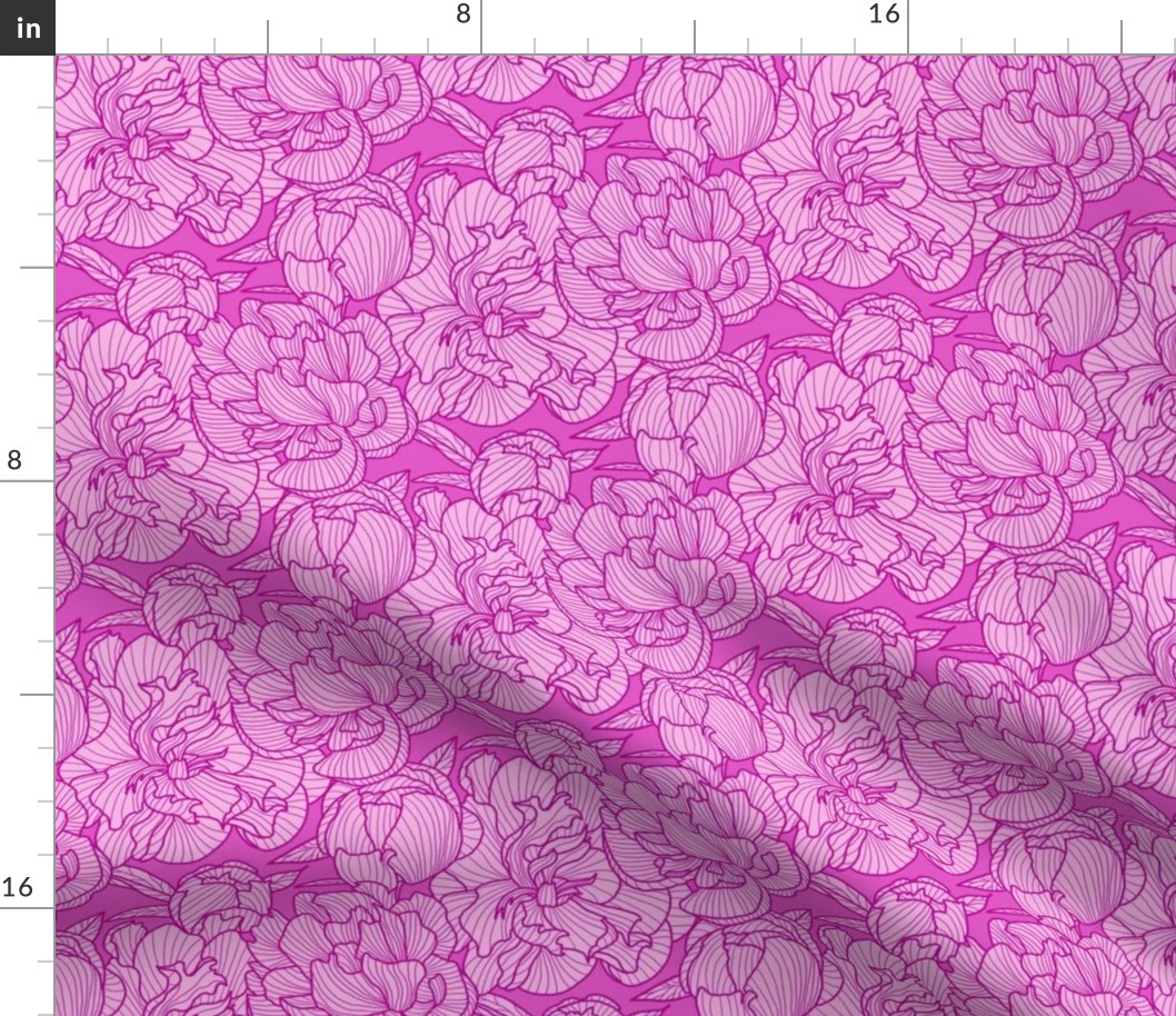 pink line-art peony medium scale