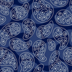 Paisley Print in White on Blue