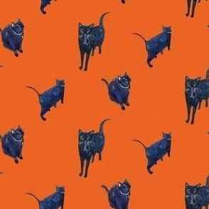 A Black Cat Crossed Your Path // Orange  (Small Scale)