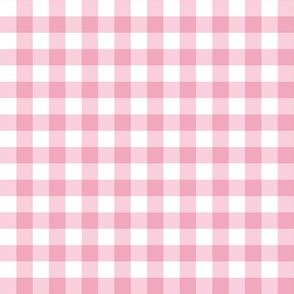 Pink and White Checks