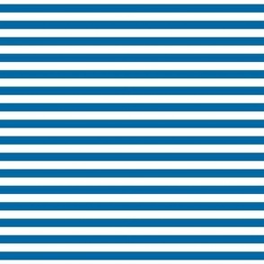 royal blue stripes .25"