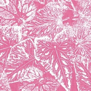 Buckwheat Leaf Prints in white on Bubblegum Pink