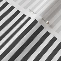 dark grey stripes .25"