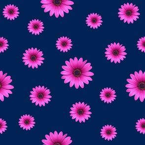 navy and pink daisy