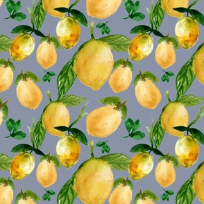 Lemons Grey Background