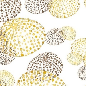 Medium/large scale sea urchin block print, multi-directional, in gold and burnt umber brown.