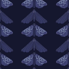 Gothic moth - lines - Large scale