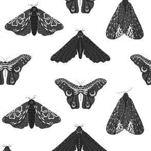 Gothic moth in black and white - blocks - Large scale