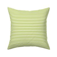 lime green stripes .25"