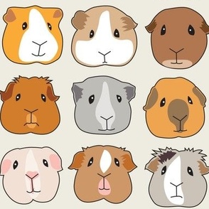 guinea pig faces on ivory