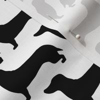 medium - Dachshunds - Sausage dog - black and white - Weiner Wiener dogs pets pet cute simple silhouette