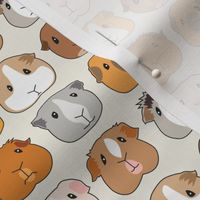 tiny guinea pig faces on ivory