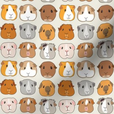 tiny guinea pig faces on ivory