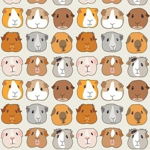 tiny guinea pig faces on ivory