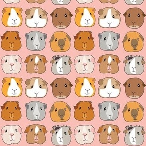 tiny guinea pig faces on pink