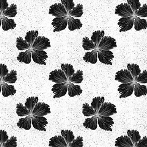 Black Hibiscus | Digital Lino Print 