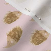 hedgehog parade (blush - medium scale)