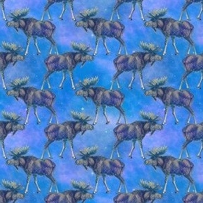 Celestial Moose Blue
