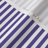 purple stripes .25"