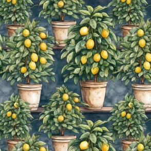 Potted Lemon Trees Watercolor