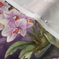 Potted Orchid Plants Watercolor
