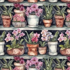 Potted Orchid Plants Watercolor on Shelves