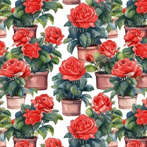 Potted Red Rose Plants Watercolor