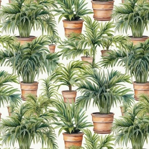 Potted Green  House Palms Watercolor