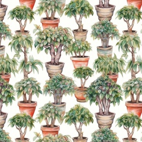 Potted Green  Baby Banyan Tree Plants Watercolor
