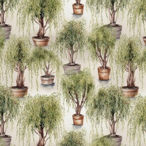 Potted Green  Baby Willow Tree Plants Watercolor