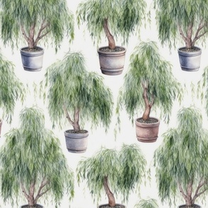Potted Green  Baby Weeping Willow Tree Plants Watercolor
