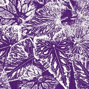 Buckwheat Leaf Prints in White on Dark Purple