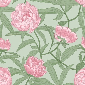 Blooming Peonies pink on light sage green