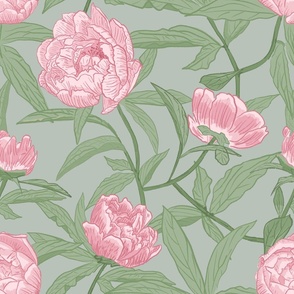Blooming Peonies pink on grey sage green