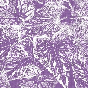 Buckwheat Leaf Prints in White on Orchid Purple