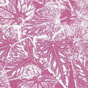 Buckwheat Leaf Prints in White on Peony Pink