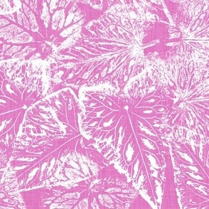 Buckwheat Leaf Prints in White on Medium Raspberry