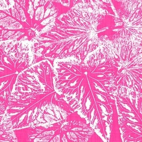 Buckwheat Leaf Prints in White on Hot Pink