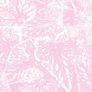Buckwheat Leaf Prints in White on Light Bubblegum Pink