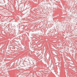 Buckwheat Leaf Prints in White on Watermelon Coral