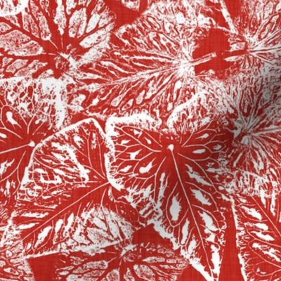 Buckwheat Leaf Prints in White Poppy Red