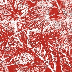 Buckwheat Leaf Prints in White Poppy Red