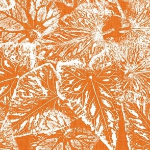 Buckwheat Leaf Prints in White on Carrot Orange