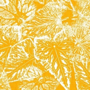 Buckwheat Leaf Prints in White on Marigold