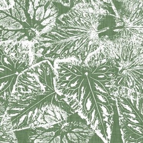 Buckwheat Leaf Prints in White on Sage Green