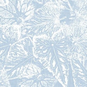 Buckwheat Leaf Prints in White on Fog Blue