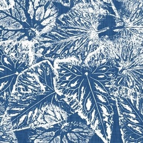 Buckwheat Leaf Prints in White on Aegean Blue